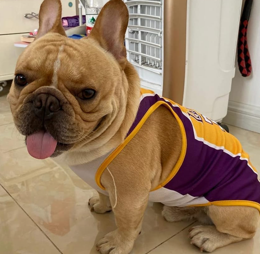 Score Big with Our 3-Pack Doggie Basketball Jerseys – Perfect for Pups Who Want to Slam Dunk in Style!