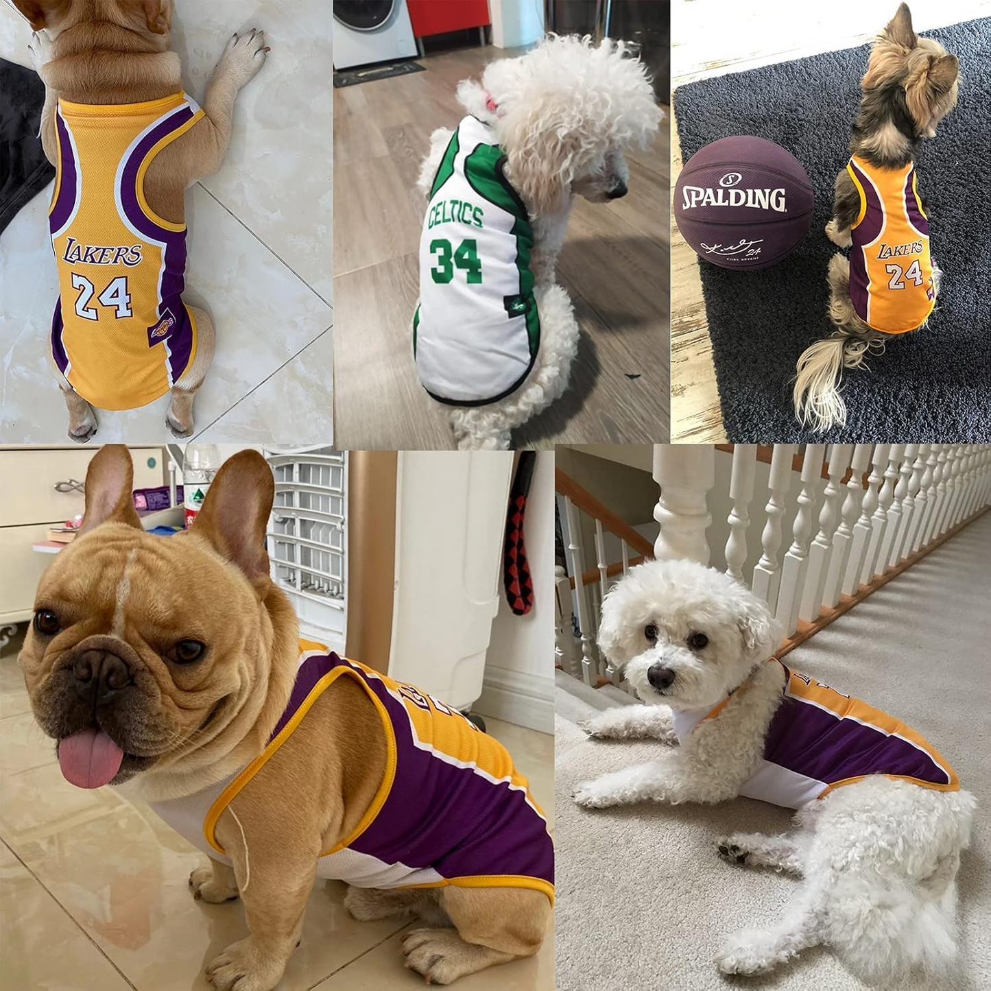 Score Big with Our 3-Pack Doggie Basketball Jerseys – Perfect for Pups Who Want to Slam Dunk in Style!