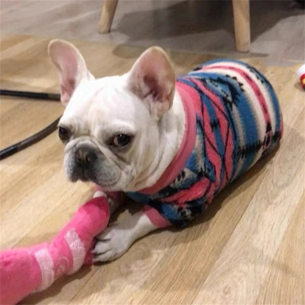 Cozy and Stylish Fashion French Bulldog Sweater - Perfect Warmth for Your Small Dog This Autumn/Winter!