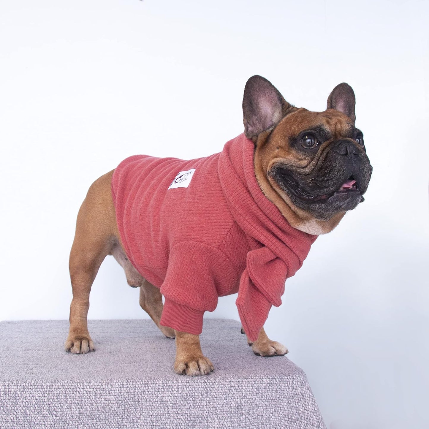 Cozy Knitted Dog Sweater with Matching Scarf - Perfect Winter Wear for French Bulldogs, Pugs, and More - Red, Large Size
