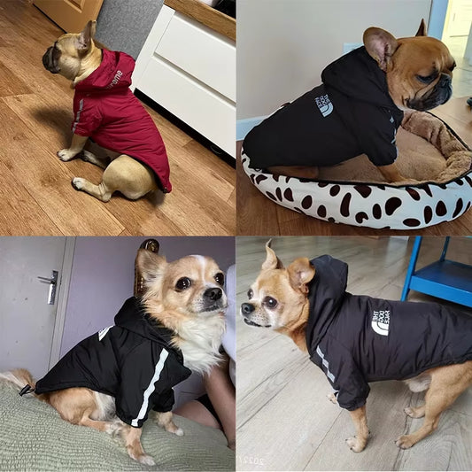Cozy and Stylish Winter Dog Jacket - Waterproof, Reflective, and Warm for Small to Medium Breeds like Chihuahua and French Bulldog