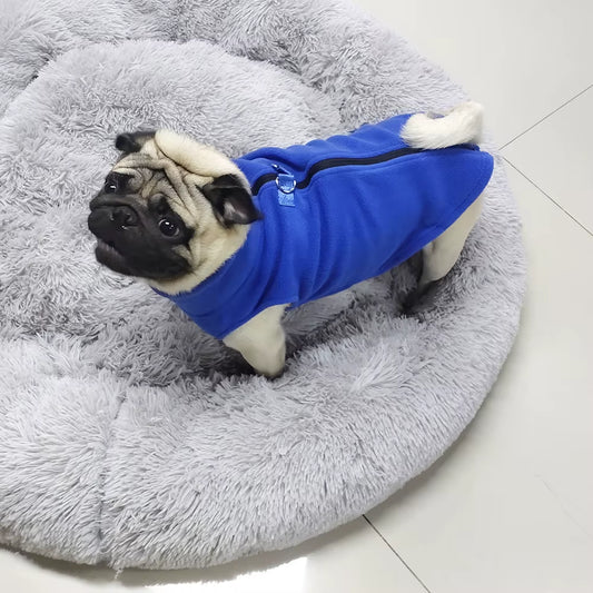 Snuggle Up, Pup! The Ultimate Winter Fleece Jacket for Your Fashion-Forward French Bulldog and Chihuahua