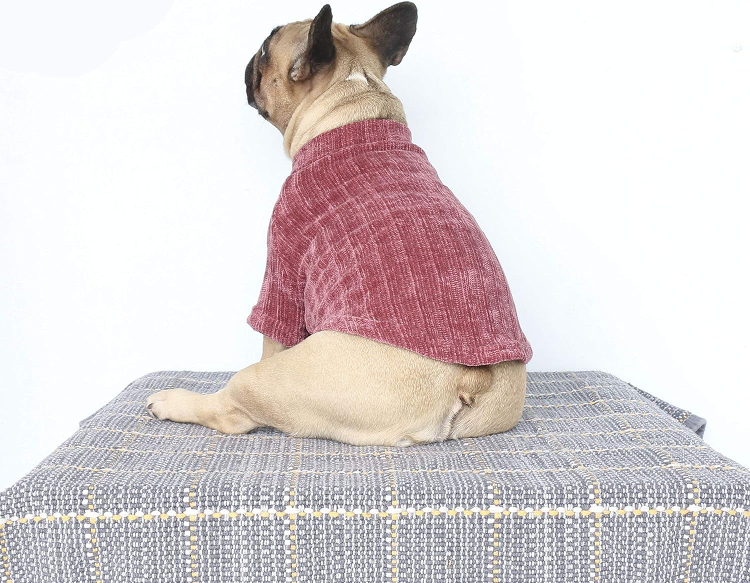 Cozy Purple Corduroy Turtleneck Sweater for Dogs - Perfect for French Bulldogs, Pugs, and Boston Terriers