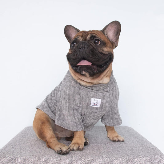 Cozy Corduroy Silver Turtleneck Sweater for Dogs - Perfect for English Bulldogs and Boston Terriers - X-Large Size
