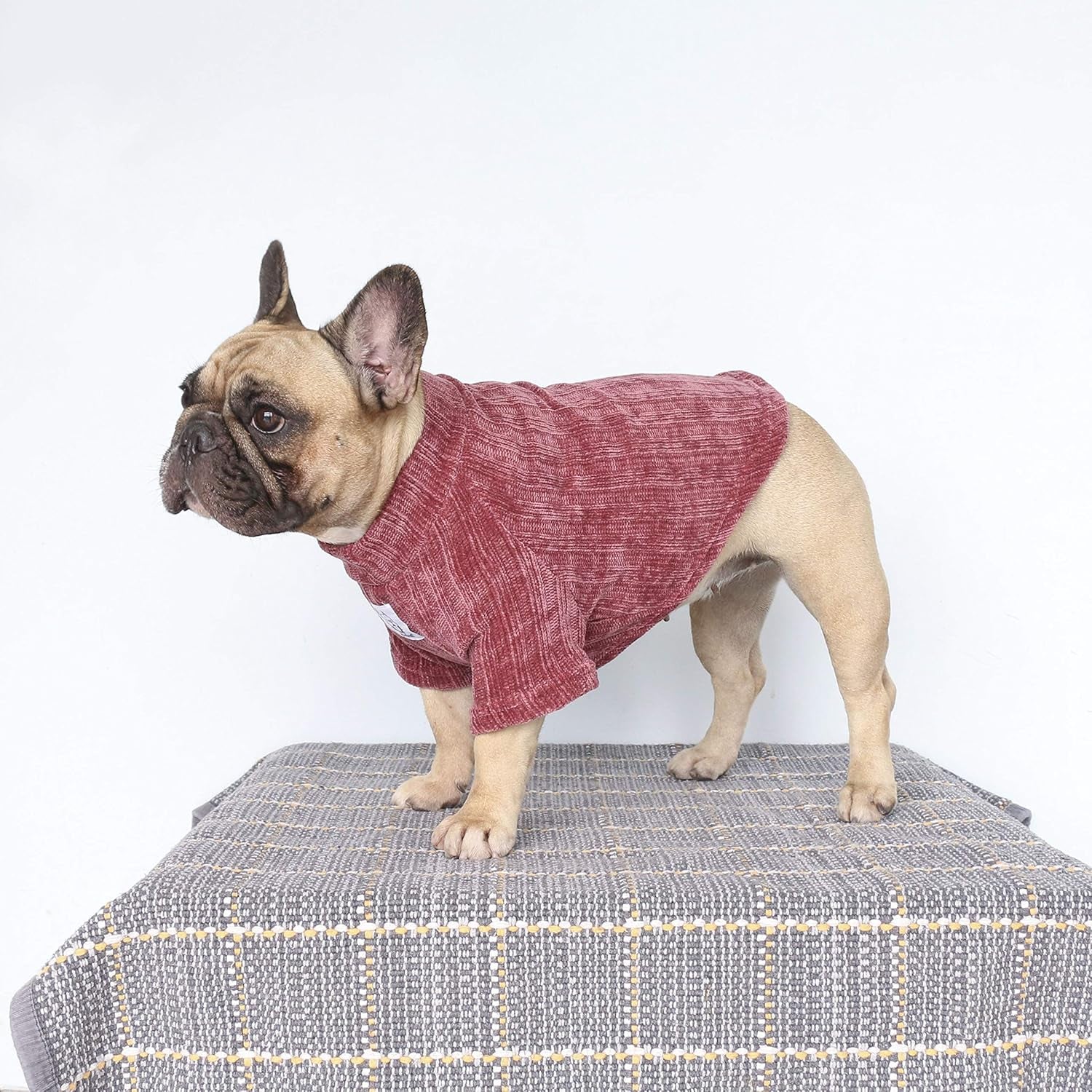 Cozy Purple Corduroy Turtleneck Sweater for Dogs - Perfect for French Bulldogs, Pugs, and Boston Terriers