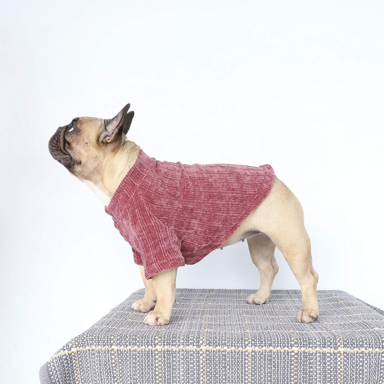 Cozy Purple Corduroy Turtleneck Sweater for Dogs - Perfect for French Bulldogs, Pugs, and Boston Terriers