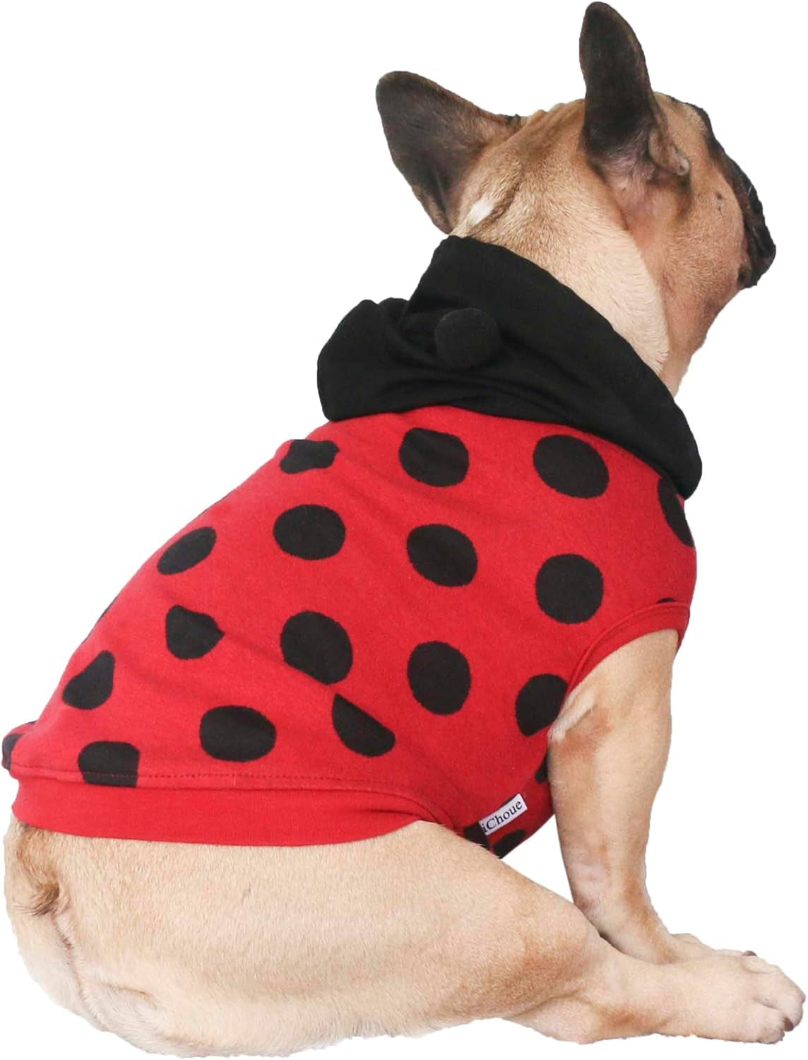 Transform Your Pup into a Ladybug Superstar with our Hilariously Adorable Ladybird Costume Hoodie for French Bulldogs and Friends!