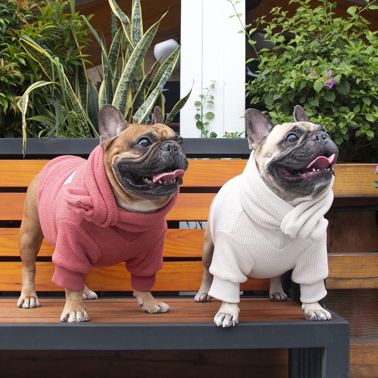 Cozy Knitted Dog Sweater with Matching Scarf - Perfect Winter Wear for French Bulldogs, Pugs, and More - Red, Large Size