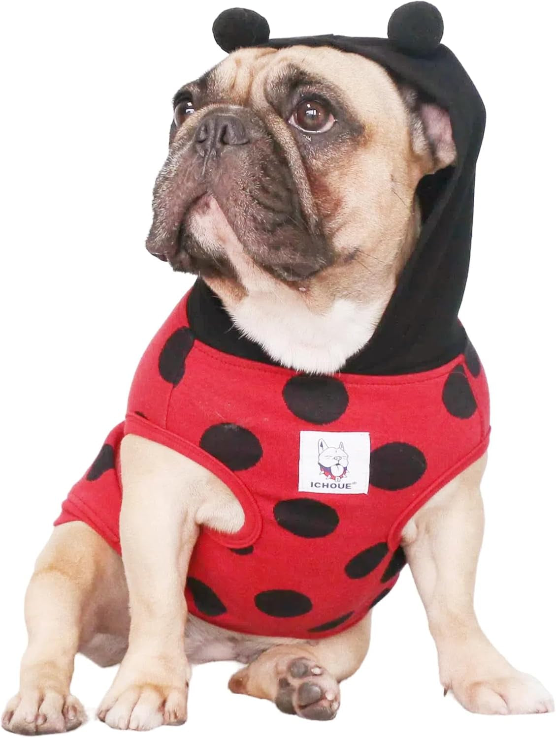 Transform Your Pup into a Ladybug Superstar with our Hilariously Adorable Ladybird Costume Hoodie for French Bulldogs and Friends!