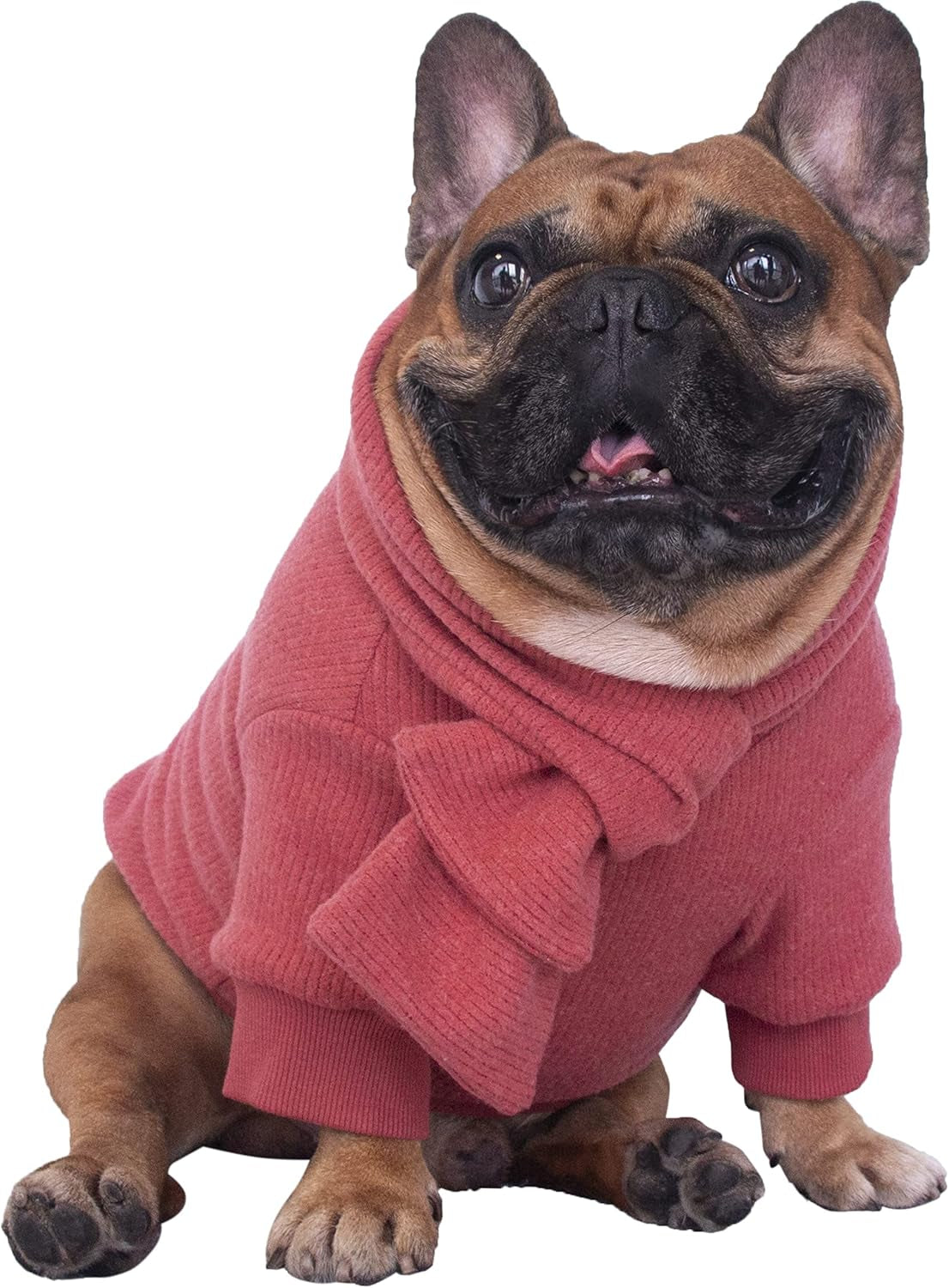 Cozy Knitted Dog Sweater with Matching Scarf - Perfect Winter Wear for French Bulldogs, Pugs, and More - Red, Large Size